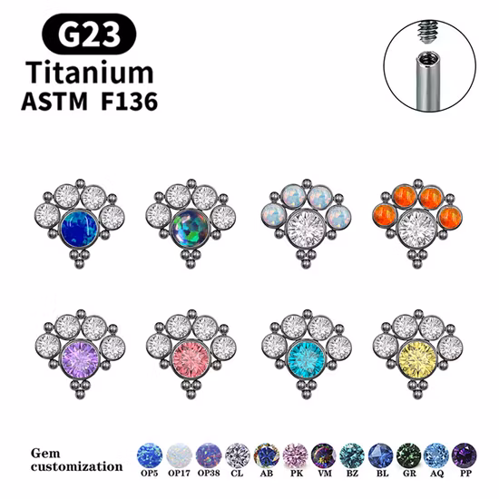 Fashion Jewelry ASTM F136 Titanium G23 Titanium Earrings CZ Hinged Ring Ear Piercing Ear Studs Tper12