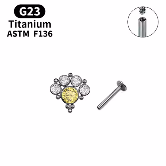 Fashion Jewelry ASTM F136 Titanium G23 Titanium Earrings CZ Hinged Ring Ear Piercing Ear Studs Tper12