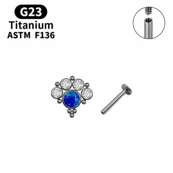 Fashion Jewelry ASTM F136 Titanium G23 Titanium Earrings CZ Hinged Ring Ear Piercing Ear Studs Tper12