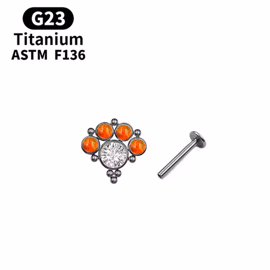 Fashion Jewelry ASTM F136 Titanium G23 Titanium Earrings CZ Hinged Ring Ear Piercing Ear Studs Tper12