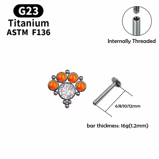 Fashion Jewelry ASTM F136 Titanium G23 Titanium Earrings CZ Hinged Ring Ear Piercing Ear Studs Tper12