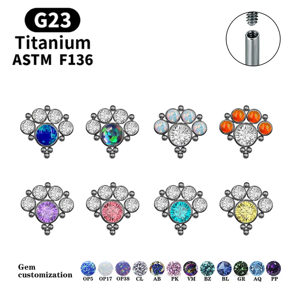 ファッションジュエリー ASTM F136 チタン G23 チタンイヤリング CZ ヒンジ付きリング耳ピアスイヤリング Tper12